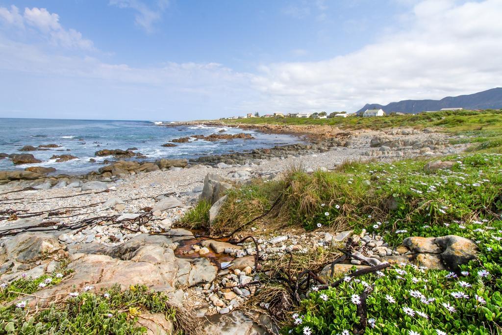 Schulphoek Seafront House Hermanus Exterior photo The coast of the island of Ons