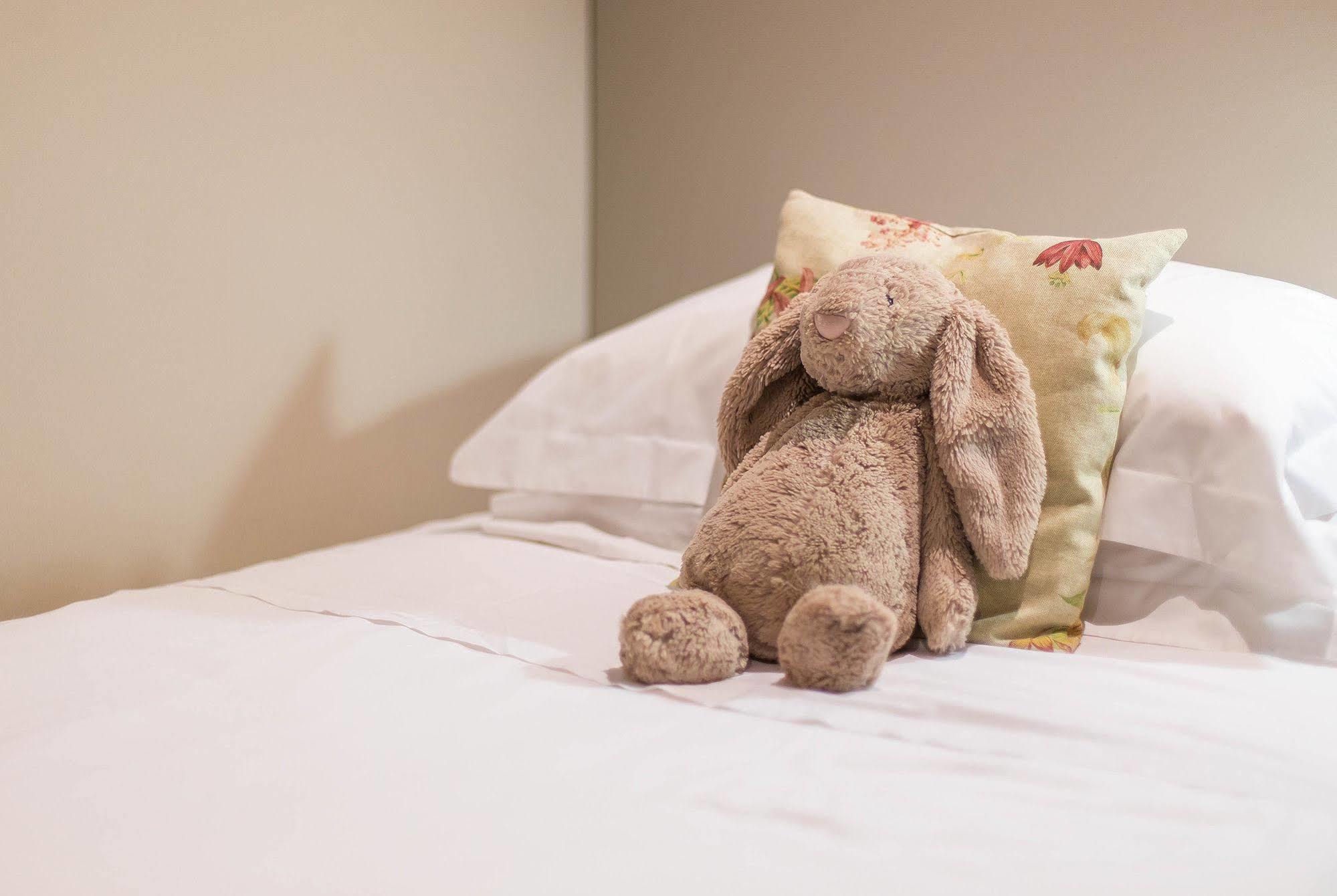 Schulphoek Seafront House Hermanus Exterior photo A Bashful Bunny
