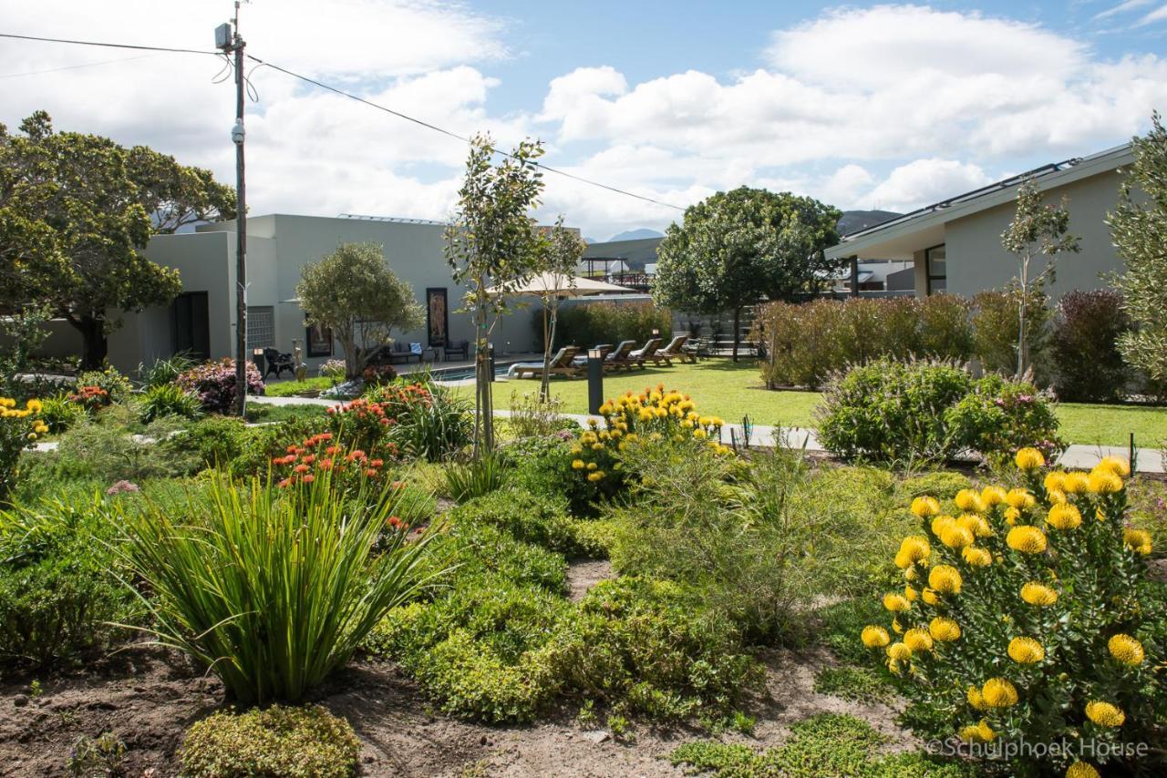 Schulphoek Seafront House Hermanus Exterior photo The courtyard at the school